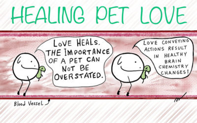 Spirit Fuel 6 Healing Pet Love
