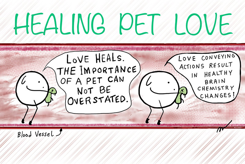 Healing Pet Love