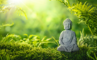Spirit Fuel 1 Prescription for Peace
