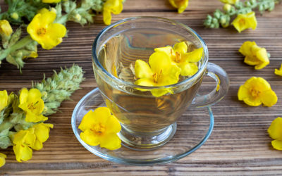 Herbal Tea Blend for Gemini