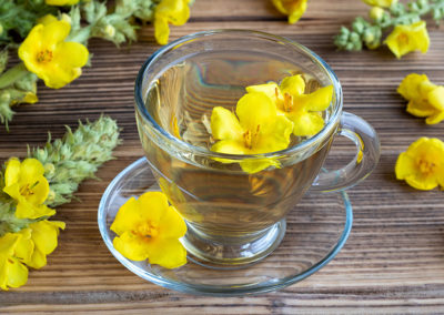 Cozy Gemini Tea
