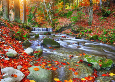 Healing Sounds for Scorpio