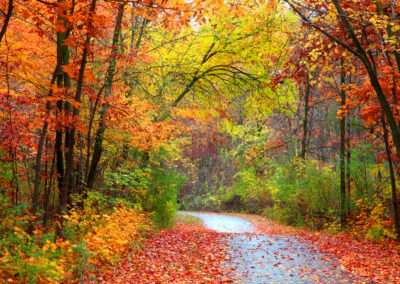 Yoga for Scorpio pic 2