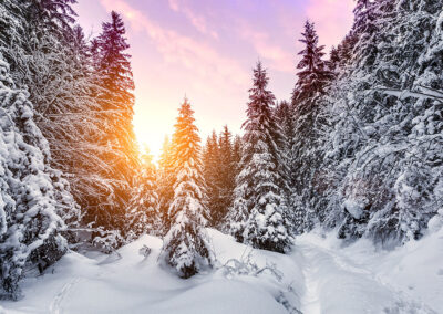 Healing Sounds for Sagittarius pic